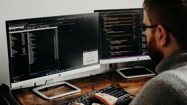 IT Services Customer Development Manager