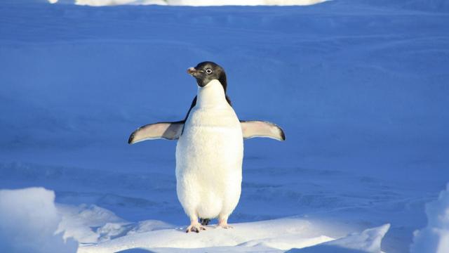 Linux/Cloud System Engineer